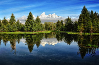 Картинка grand teton national park природа реки озера пейзаж деревья озеро горы