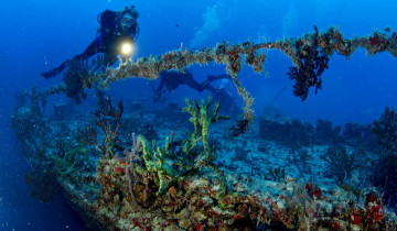 Картинка природа морские глубины затонувший корабль водолазы