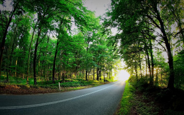 Картинка природа дороги дорога лето лес