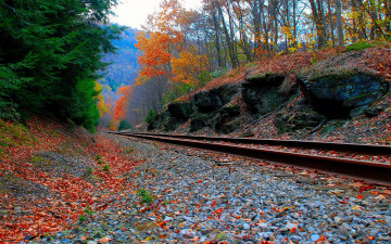 Картинка природа дороги лес осень дорога железная