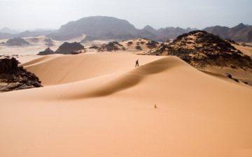 Картинка природа пустыни фигура кустики барханы песок пустыня