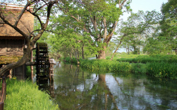 Картинка природа реки озера река трава деревья