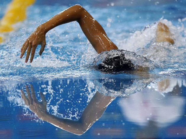 Обои картинки фото спорт, плавание, заплыв