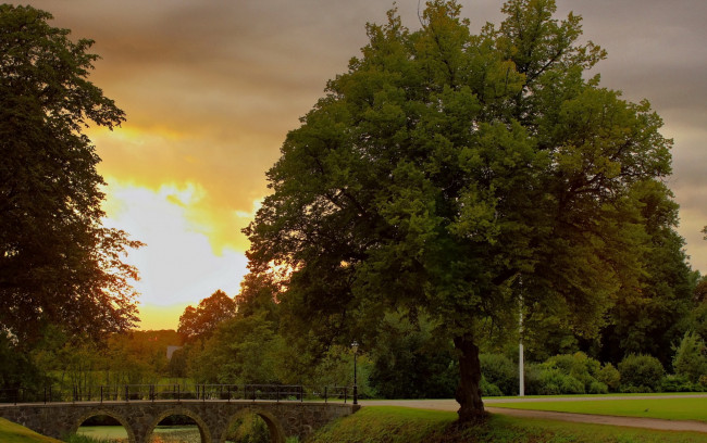 Обои картинки фото природа, деревья, парк, закат, небо, мостик