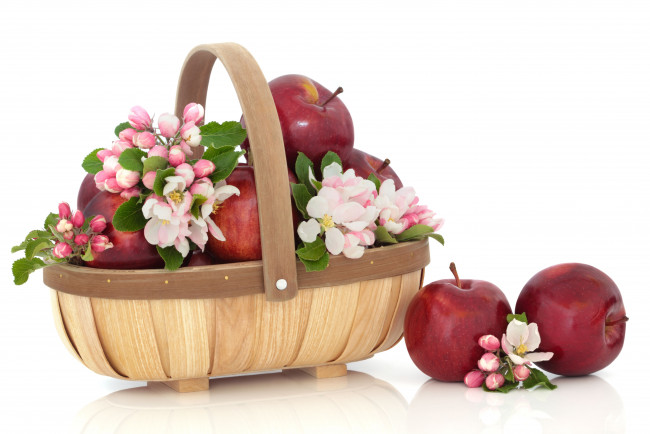 Обои картинки фото еда, Яблоки, цветы, яблони, корзинка, красные, яблоки