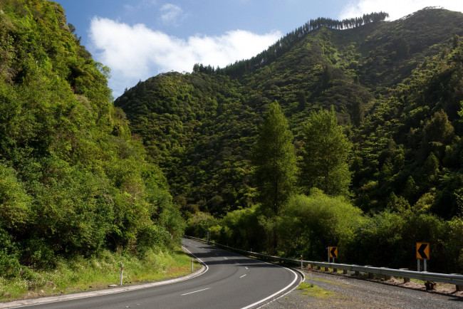 Обои картинки фото new, zealand, природа, дороги, дорога, деревья, кусты, горы