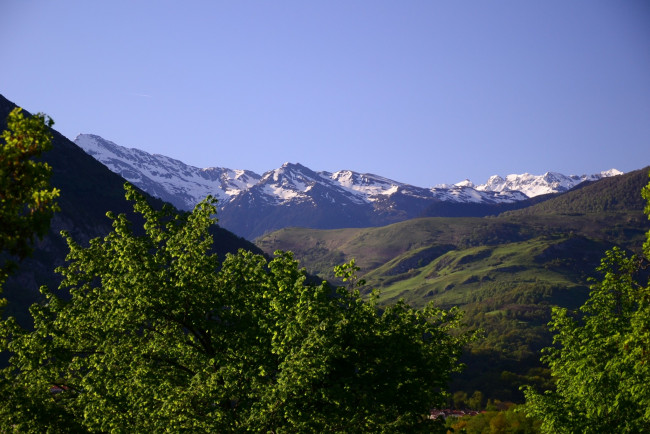 Обои картинки фото природа, горы, вершины, снег, деревья
