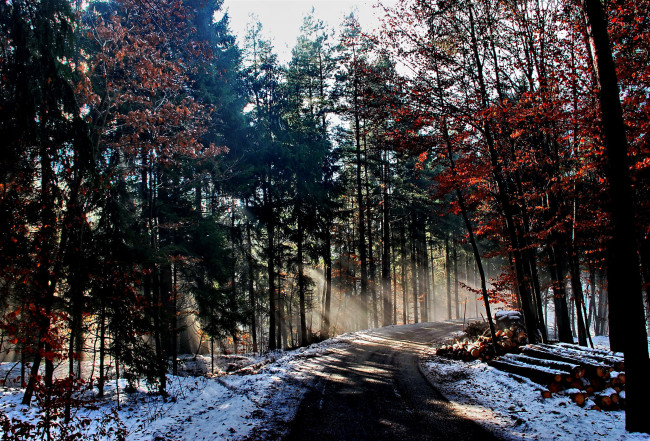Обои картинки фото природа, дороги, свет, лучи, дорога, лес, зима