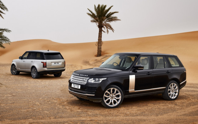 Обои картинки фото автомобили, land, rover, песок, пустыня, пальмы, небо