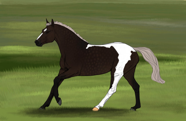 Обои картинки фото рисованные, животные, лошади, лошадь, трава