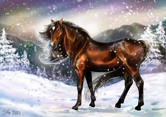 Обои картинки фото рисованные, животные, лошади, следы, снег, холод, зима, взгляд, лошадь, грива