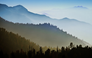 Картинка природа горы туман деревья лес