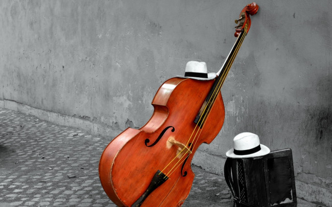 Обои картинки фото музыка, -музыкальные инструменты, баян, шляпа, виолончель