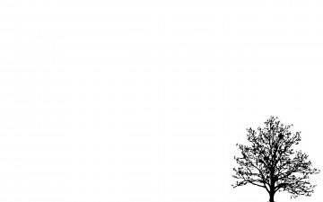 Картинка рисованное минимализм дерево