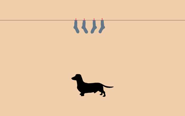 Обои картинки фото рисованное, минимализм, собака, веревка, такса, носки