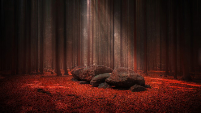 Обои картинки фото природа, лес, сосны, камни, листопад