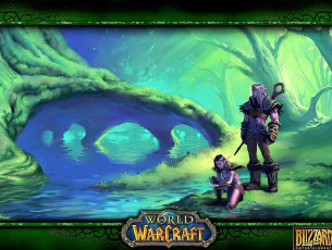 Картинка видео+игры world+of+warcraft эльфы озеро лес
