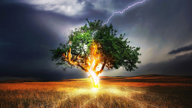 Обои картинки фото разное, компьютерный дизайн, гроза, дерево, молния, огонь