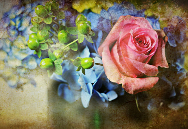 Обои картинки фото цветы, букеты, композиции, роза