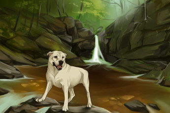 Картинка рисованные животные +собаки водопад собака