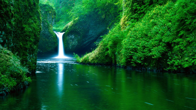 Обои картинки фото природа, водопады, зелень, горы, озеро, река, деревья, кусты, водопад