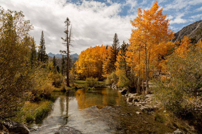 Обои картинки фото природа, реки, озера, осень, лес, река, горы