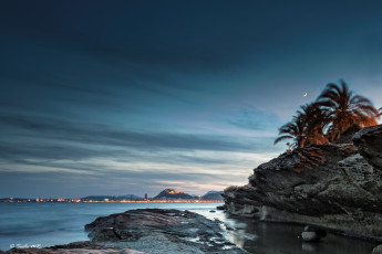 Картинка природа побережье море камни пляж пальмы город