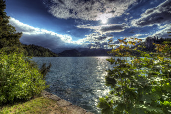 Картинка природа реки озера водоем кустарники деревья облака