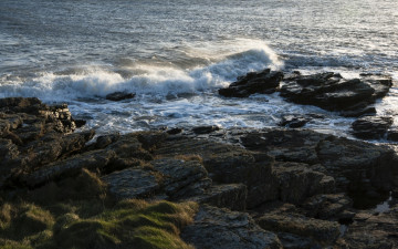 Картинка природа побережье камни водоем