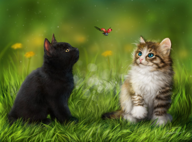 Обои картинки фото разное, компьютерный дизайн, бабочка, кошки, дизайн, трава