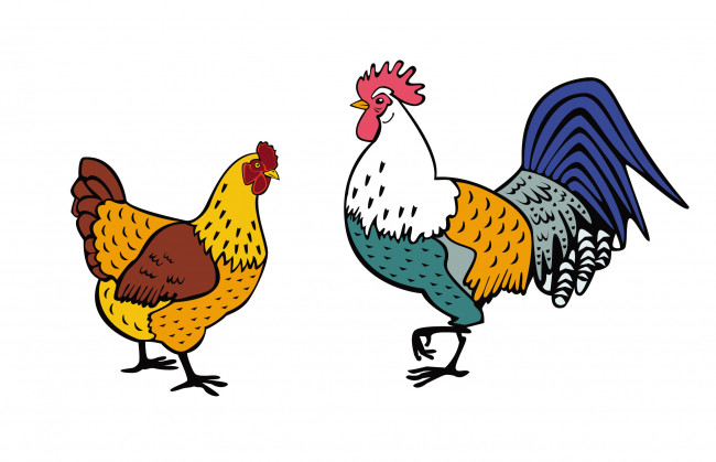 Обои картинки фото векторная графика, животные , animals, петух, курица