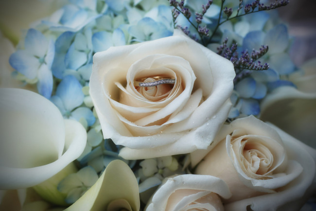 Обои картинки фото разное, украшения,  аксессуары,  веера, цветы, розы, украшение, кольцо