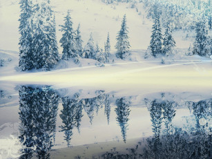 Картинка разное компьютерный+дизайн деревья отражение снег зима лес