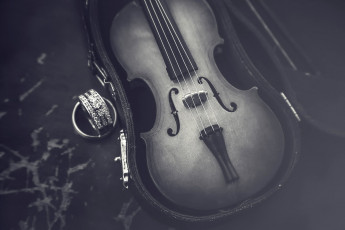 Картинка музыка -музыкальные+инструменты скрипка футляр черно белое