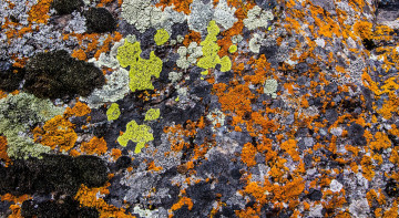 Картинка разное текстуры камень цвет глыба