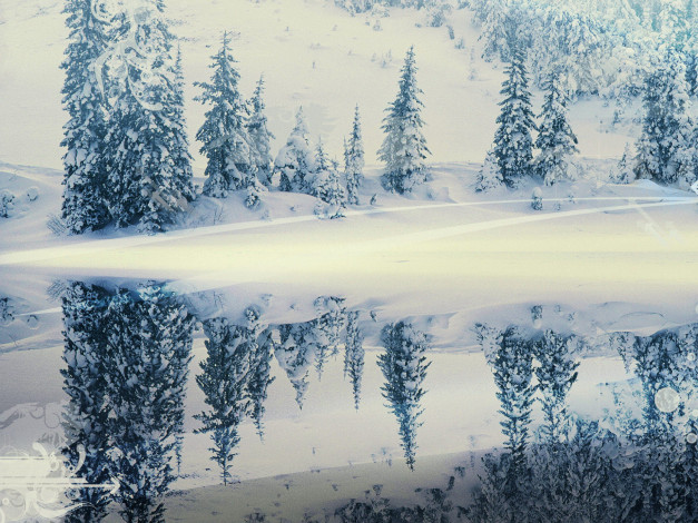 Обои картинки фото разное, компьютерный дизайн, деревья, отражение, снег, зима, лес