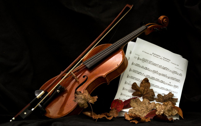 Обои картинки фото музыка, -музыкальные инструменты, листья, ноты, скрипка