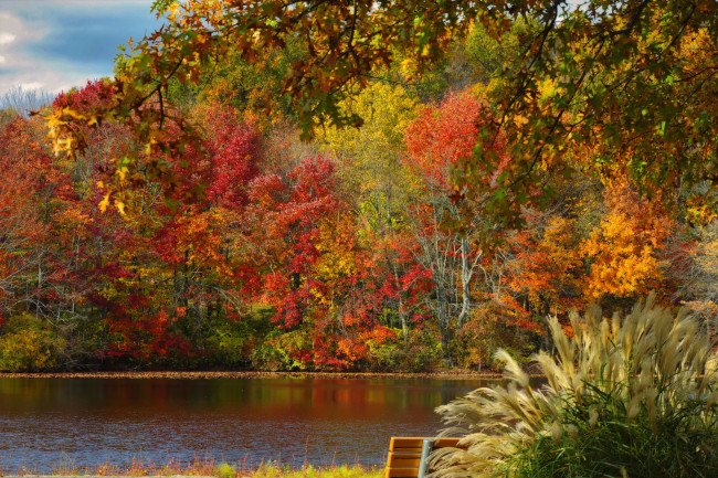 Обои картинки фото природа, реки, озера, река, осень