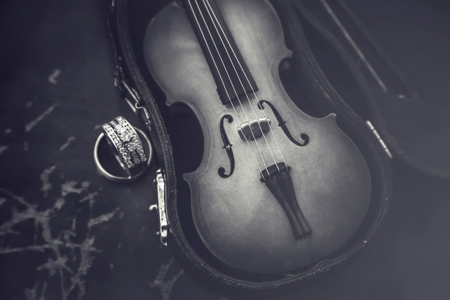 Обои картинки фото музыка, -музыкальные инструменты, скрипка, футляр, черно, белое
