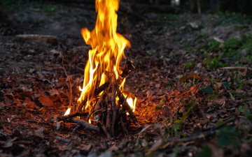 Картинка природа огонь костер дрова