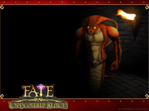 Картинка fate undiscovered realms видео игры