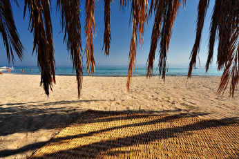 Картинка природа побережье египет пляж циновка