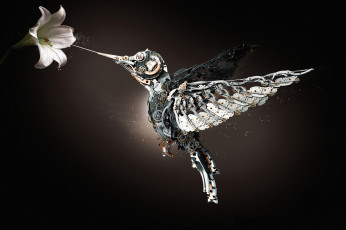 Картинка разное компьютерный дизайн колибри механизм металлический лилия