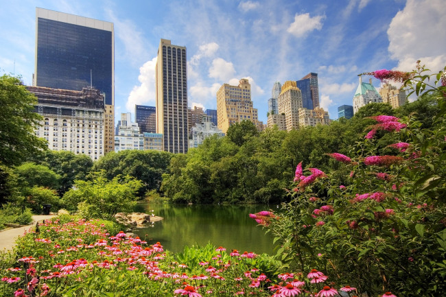 Обои картинки фото манхэттен, нью, йорк, сша, города, парк, пруд, цветы, небоскребы