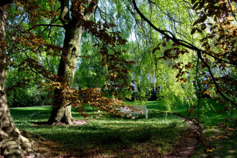 Картинка германия гамбург парк штадт природа