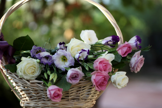 Обои картинки фото цветы, разные, вместе, корзинка, розы, эустома