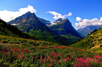 Картинка mt oberlin and cannon glacier national park montana природа горы mount луг гора оберлин глейшер кэннон