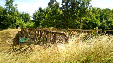 Картинка природа дороги лес река мост дорога трава