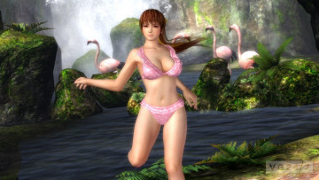 Картинка видео игры dead or alive девушка фламинго купальник