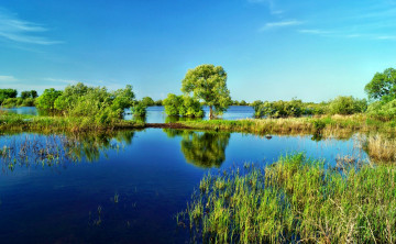 Картинка природа реки озера река лето трава разлив деревья